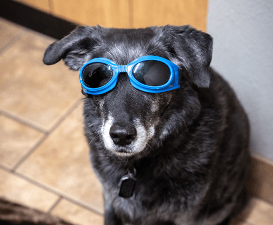 Laser Therapy